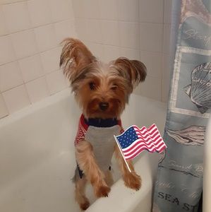 Meet your Posher, Vera lynn